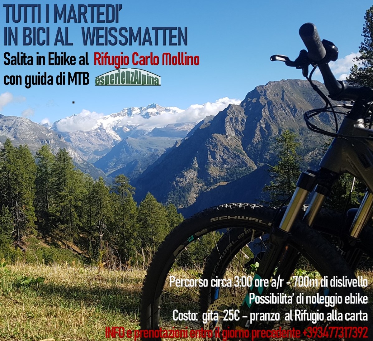 2021bici