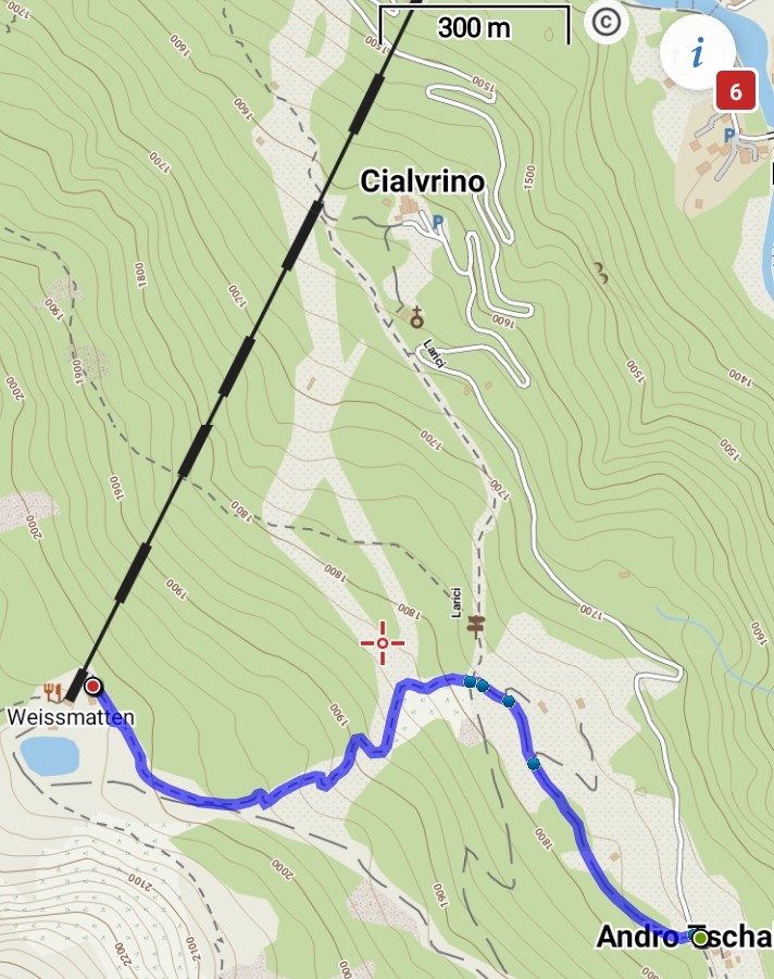 cartina