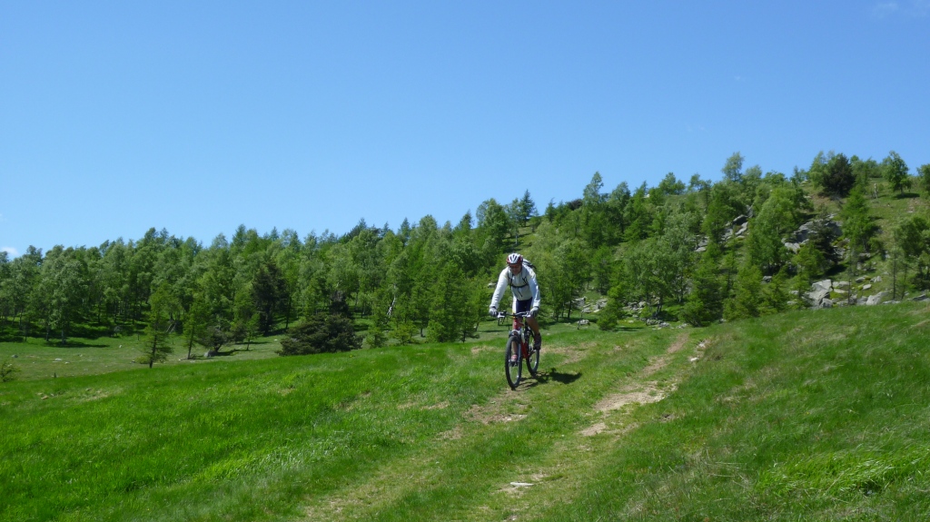 bici