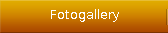 Fotogallery